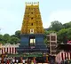 Simhadri Appanna Marriage Rituals on 3rd No Public Darshan