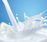  Rajamundry Milk Adulteration Health Bulletin Released