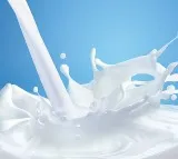Rajamundry Milk Adulteration Health Bulletin Released