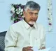 Chandrababu Naidu Orders Safe Return of AP People Stranded in Gulf