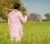 AP Farmers Get Good News From Coalition Government