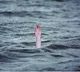 Six children drown in Bihar's East Champaran