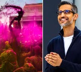 Sundar Pichai Celebrates Holi With Google Pixel 8 Pro Photo