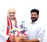 Revanth Reddy Discusses Maoist Surrenders With Amit Shah