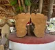 Chadhalavada Srinivasa Rao Sri Venkateswaras feet appear in timber log