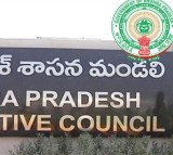 Andhra Pradesh Legislative Council Approves Key Bills