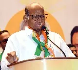Sharad Pawar to Contest Rajya Sabha Elections as Opposition Candidate
