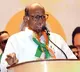 Sharad Pawar to Contest Rajya Sabha Elections as Opposition Candidate