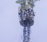 Woman climbs mobile tower in Bihar's Gopalganj demanding her lover's release