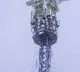 Woman climbs mobile tower in Bihar's Gopalganj demanding her lover's release