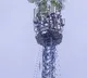 Gopalganj Girl Climbs Mobile Tower Demanding Boyfriend Release