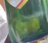 Kingfisher Beer Bottle in Hyderabad Found with Live Fish