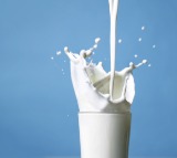 Death toll due to adulterated milk in Andhra Pradesh rises to 12