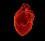Ischemic Heart Disease a Major Threat to Indian Women