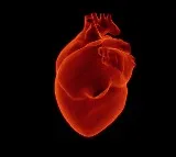 Ischemic Heart Disease a Major Threat to Indian Women