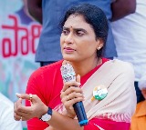 YS Sharmila calls Rajahmundry milk deaths government murders