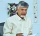 Chandrababu Naidu Focus on Governance Collectors Conference on 11th 12th