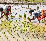 Over 7.72 crore Kisan Credit Cards active in India with Rs. 10.2 lakh crore outstanding