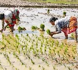 Over 7.72 crore Kisan Credit Cards active in India with Rs. 10.2 lakh crore outstanding
