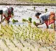 Over 7.72 crore Kisan Credit Cards active in India with Rs. 10.2 lakh crore outstanding