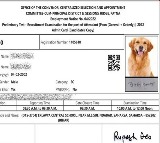 Bihar court recruitment admit card shows dog's photo instead of candidate