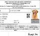 Bihar court recruitment admit card shows dog's photo instead of candidate