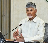 Chandrababu Naidu Warns Tax Evaders Wont Escape in Andhra Pradesh