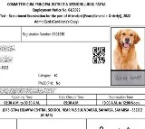 Bihar Job Applicants Admit Card Features Dog Photo