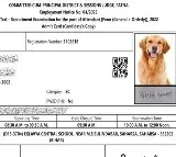 Bihar Job Applicants Admit Card Features Dog Photo