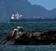 US tanker crashes in Iraq during Iran war