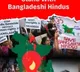 India raises alarm over minority safety in Bangladesh violence as figures surge