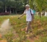 Vijayasai Reddy Turns Farmer Organic Farming at His Farm