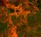 D Shiva Krishna Kumar Firecrackers Explosion in Visakhapatnam