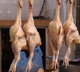 Rotten Chicken Seized at A1 Fresh Chicken in Hyderabad