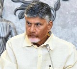 Chandrababu Serious on Putta Mahesh Affair Damaging Party