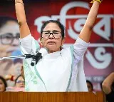 Several factors make Bhabanipur a key battleground in Bengal polls