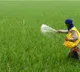 Transfer to farmers under PM-KISAN scheme shoots past Rs 4.27 lakh crore
