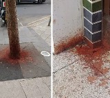 UK Fines Two Indian Origin Men Akshitkumar Bhadre Patel and Hitesh Patel for Spitting Pan