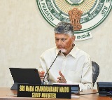 Chandrababu Naidu Reviews Crop Damage Due to AP Rains