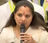 K Kavithas New Party Telangana Praja Jagruthi Hearing Today in Delhi High Court