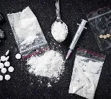 Ganja Worth 52 Lakh Seized