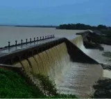 Five engineering students drown in Godavari River