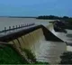 Five engineering students drown in Godavari River