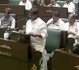 Matti Bhatti Vikramarka Announces Telangana Budget Focus on Welfare