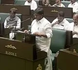 Telangana Budget Rs 324234 Crore