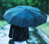 APSDMA assures support to farmers after crop loss due to rains