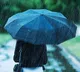 APSDMA assures support to farmers after crop loss due to rains