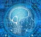 US new AI policy push signals shift for India