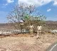 Dornala Police Install Inverted Mirror at Deyyala Malupu to Prevent Accidents
