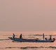 AP Govt urges Tamil Nadu to stop illegal fishing boats